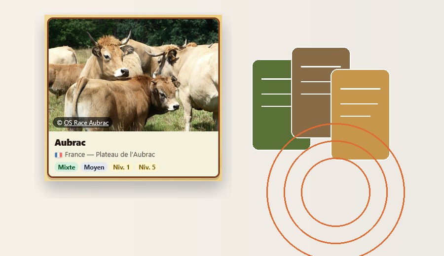 Aperçu de l'encyclopédie des races bovines